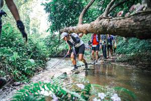 BIB: 
                            <button type="button" onclick="openModal(25459082)" class="btn btn-primary btn-sm float-right btn-popup" data-toggle="modal" data-target=".modal-high-quality">
                        <i class="fas fa-shopping-cart"></i> Add to Cart
                    </button>
                                            <button type="button" onclick="isThisMe(25459082, true)" class="btn btn-success btn-sm float-right btn-popup btn-isme hidden" data-toggle="tooltip" data-placement="bottom" title="นี่คือรูปของคุณใช่ไหม คลิกที่นี่เพื่อเอาเข้าอัลบั้ม">
                        <i class="fas fa-plus"></i> Add to album
                    </button>
                    <button type="button" onclick="isThisMe(25459082, false)" class="btn btn-warning btn-sm float-right btn-popup btn-isnotme hidden">
                        <i class="fas fa-ban"></i> Remove from album
                    </button>